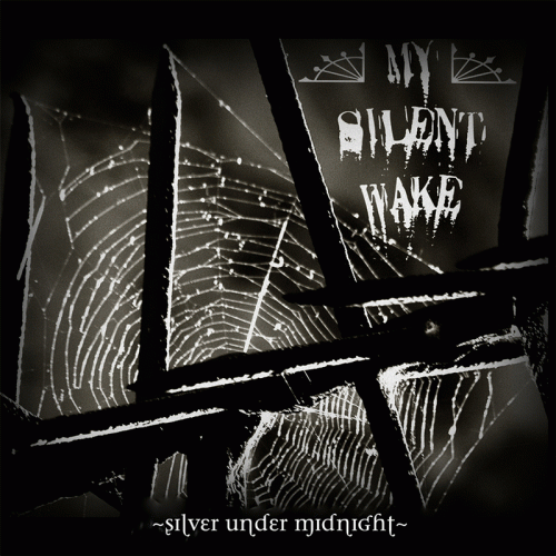 Silver Under Midnight
